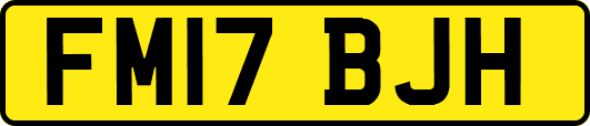 FM17BJH