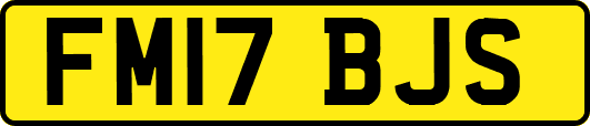 FM17BJS