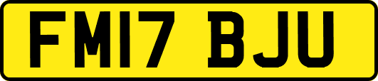 FM17BJU