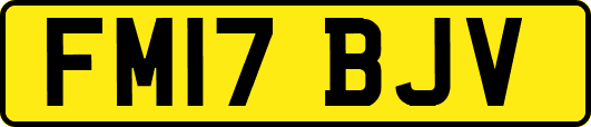 FM17BJV