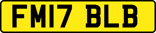 FM17BLB