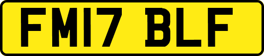 FM17BLF