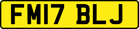 FM17BLJ