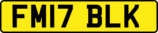 FM17BLK