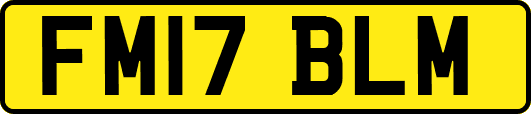 FM17BLM