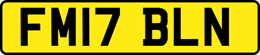 FM17BLN