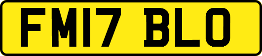 FM17BLO