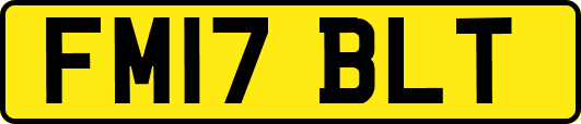 FM17BLT