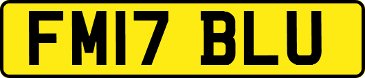 FM17BLU