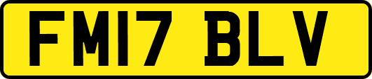 FM17BLV
