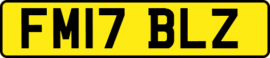 FM17BLZ