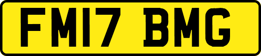 FM17BMG
