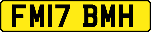 FM17BMH