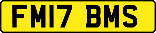 FM17BMS