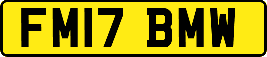 FM17BMW