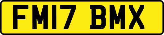 FM17BMX