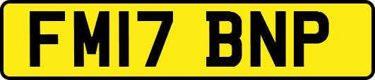 FM17BNP