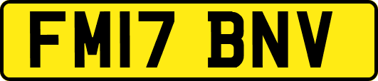 FM17BNV