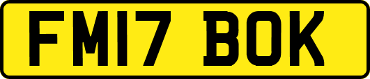 FM17BOK
