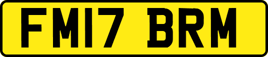 FM17BRM