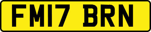FM17BRN