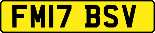FM17BSV