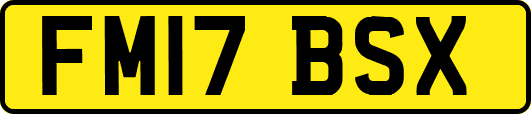 FM17BSX