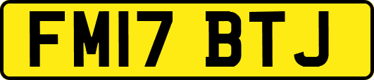 FM17BTJ