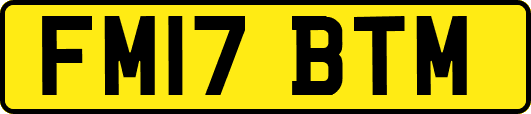FM17BTM