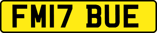 FM17BUE