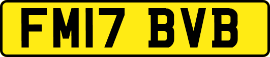 FM17BVB