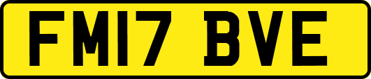 FM17BVE
