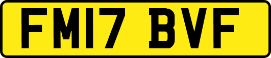FM17BVF