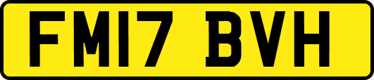 FM17BVH