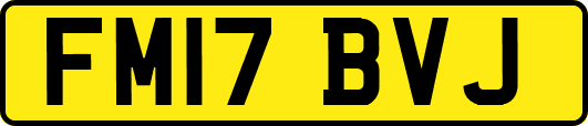 FM17BVJ