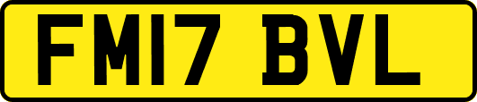 FM17BVL
