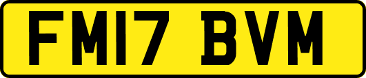 FM17BVM