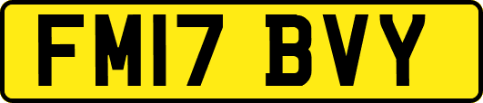 FM17BVY