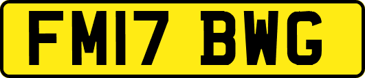 FM17BWG