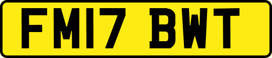 FM17BWT