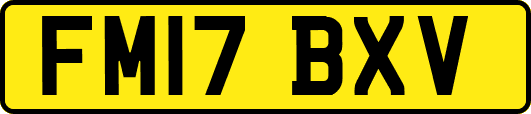 FM17BXV