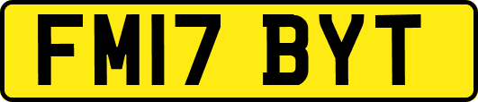 FM17BYT
