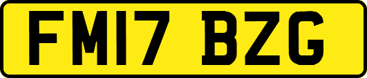 FM17BZG