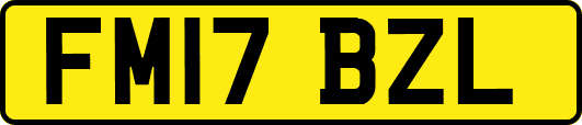 FM17BZL