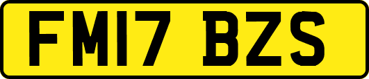 FM17BZS