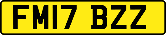FM17BZZ
