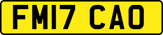 FM17CAO
