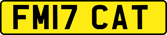 FM17CAT