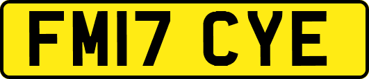 FM17CYE