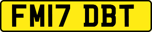 FM17DBT